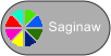 Button for Saginaw county pie