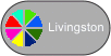 Button for Livingston county pie