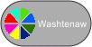 Button for Livingston county pie